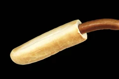 Fransk hotdog