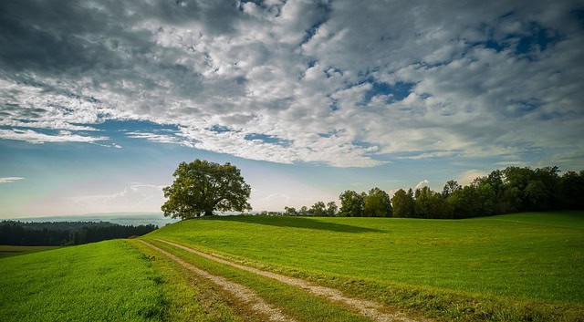 Achieving your sustainability goals