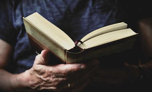 What are professional translations?