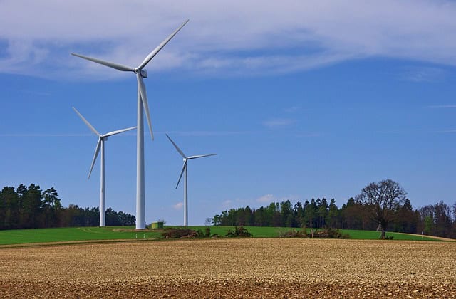 Which companies need to submit sustainability reports?