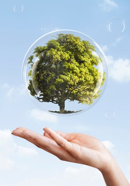 What is a sustainability report?