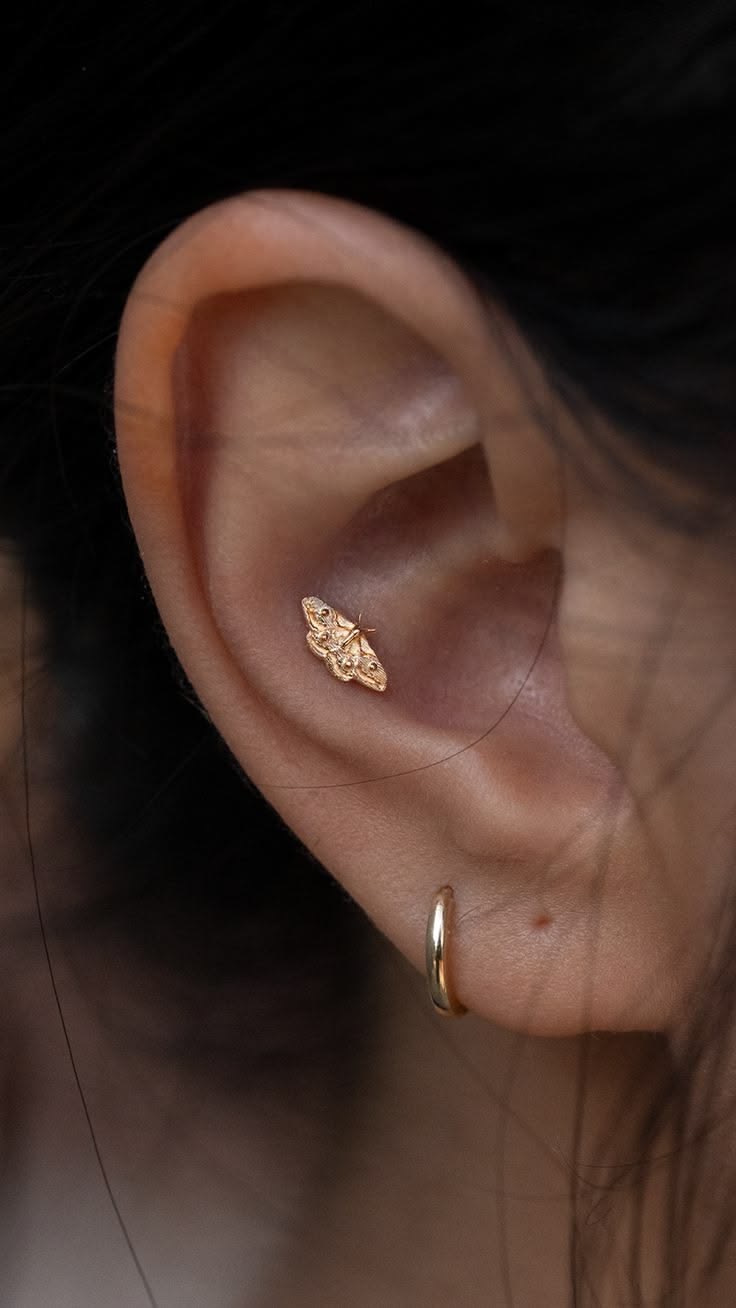Curated ear — gold moth and hoop