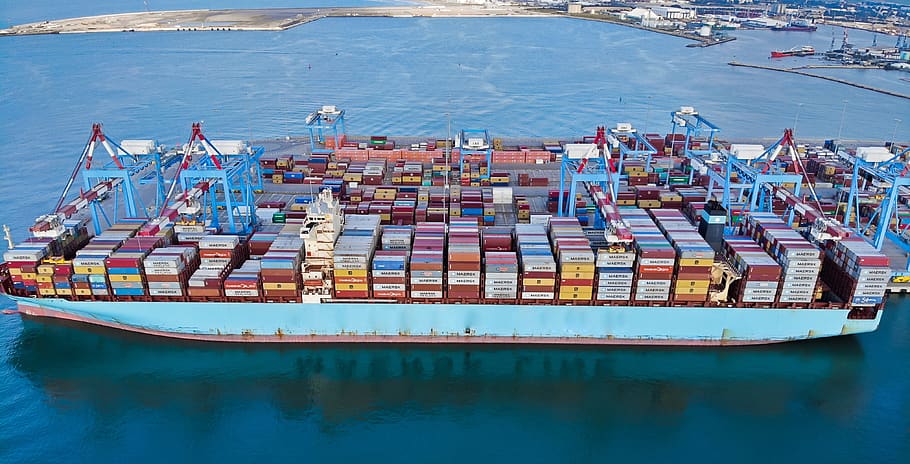 Import & Export Customs Declarations