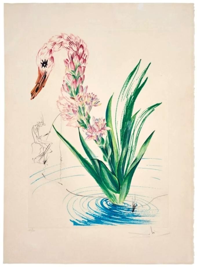 Vodní ibišek s labutí rostlinnou a rybář — Suchá jehla a litografie na papíře ARCHES, 1972