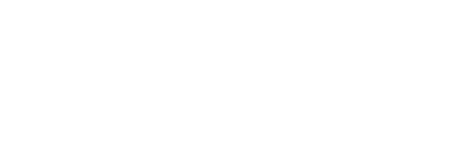 LiveU — official live video transmission partner logo