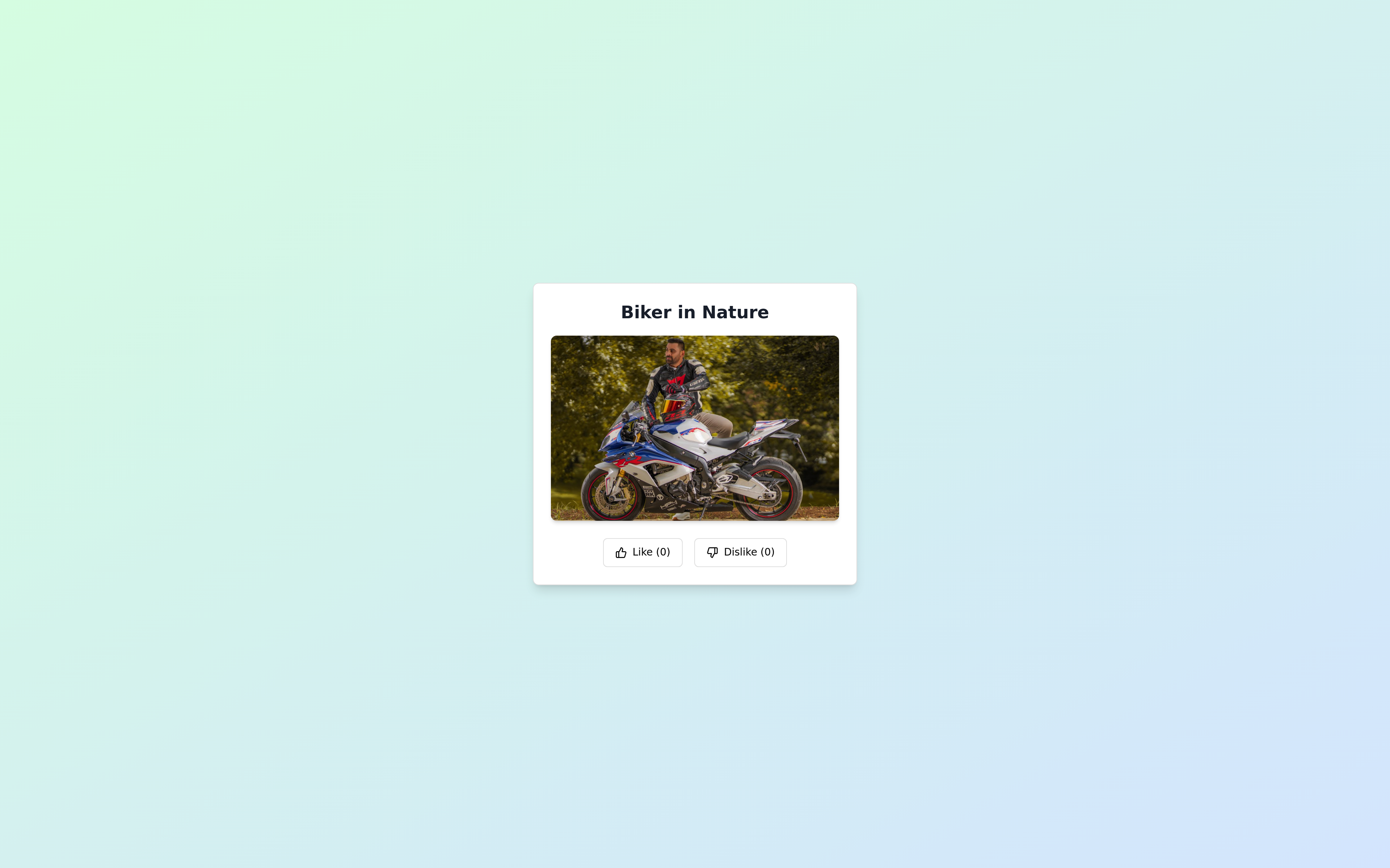 Biker Website Idea