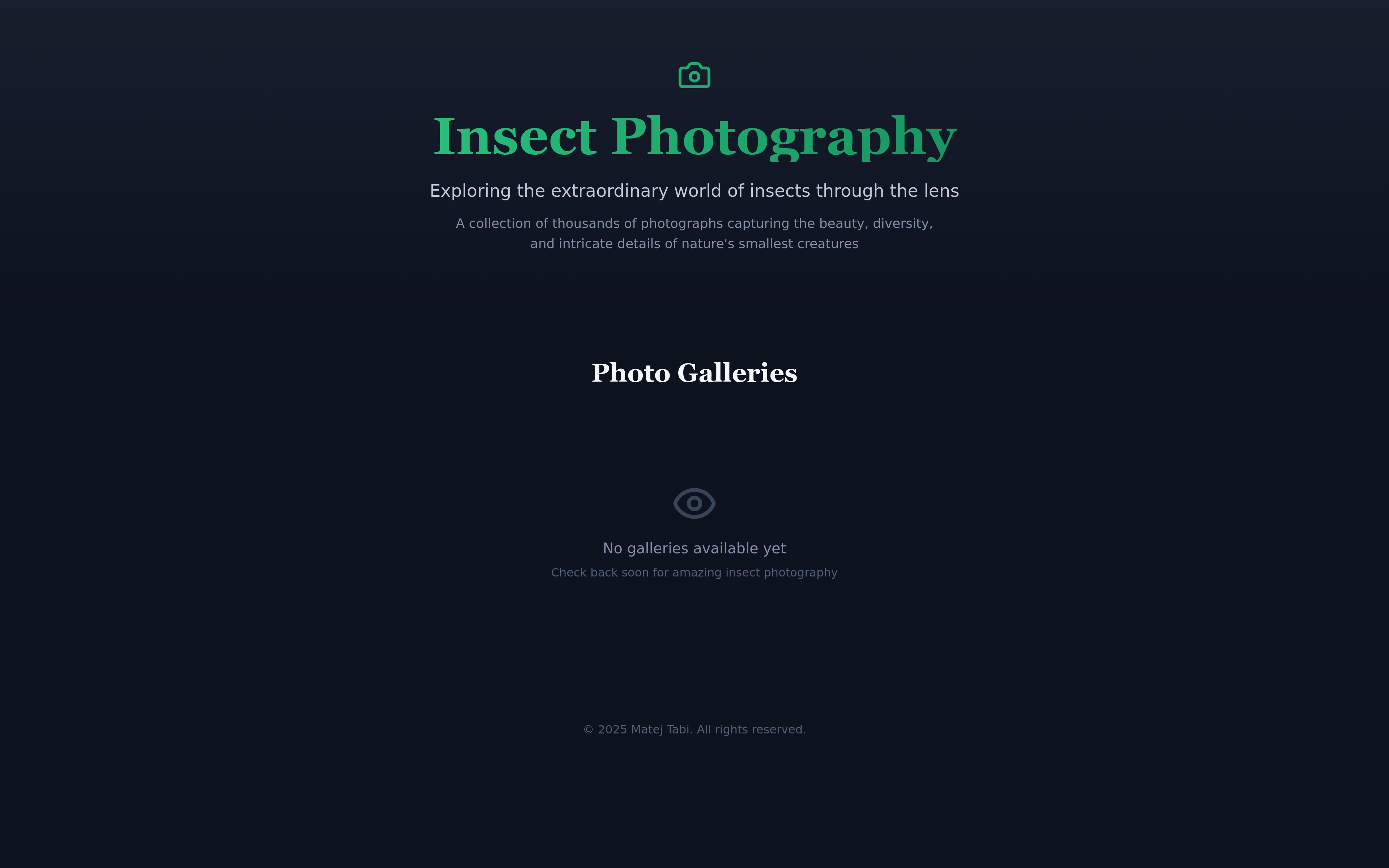 Insect Photo Portfolio