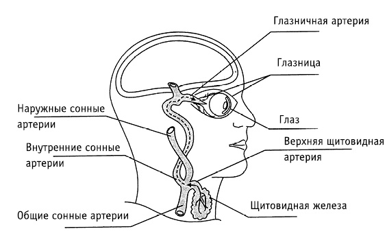 obr19