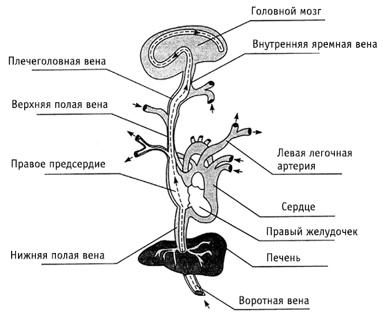 obr8