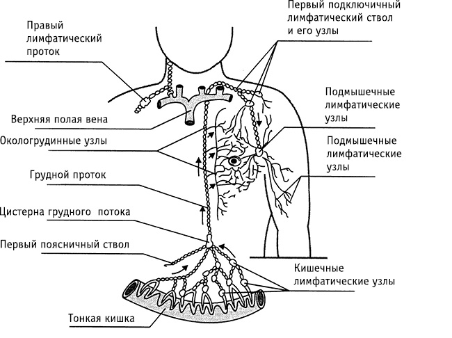 obr12