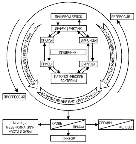 obr21