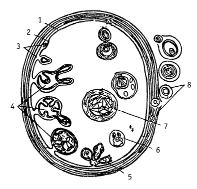 obr17