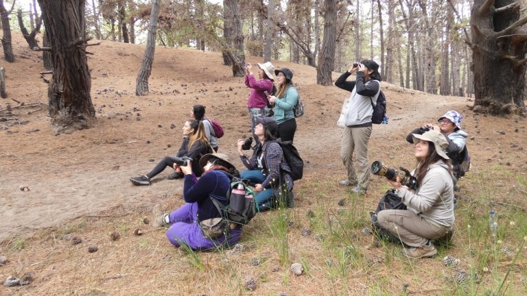 Grupo de observadoras de aves en un bosque