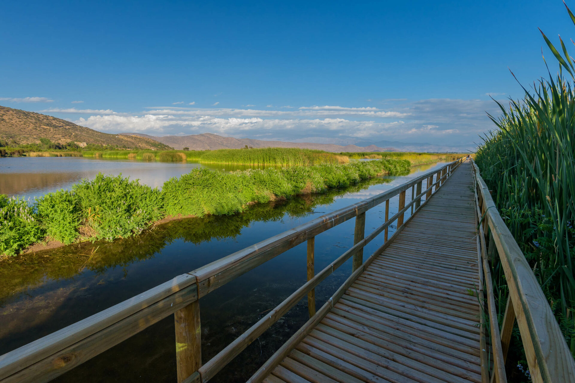 Salida a Laguna Batuco