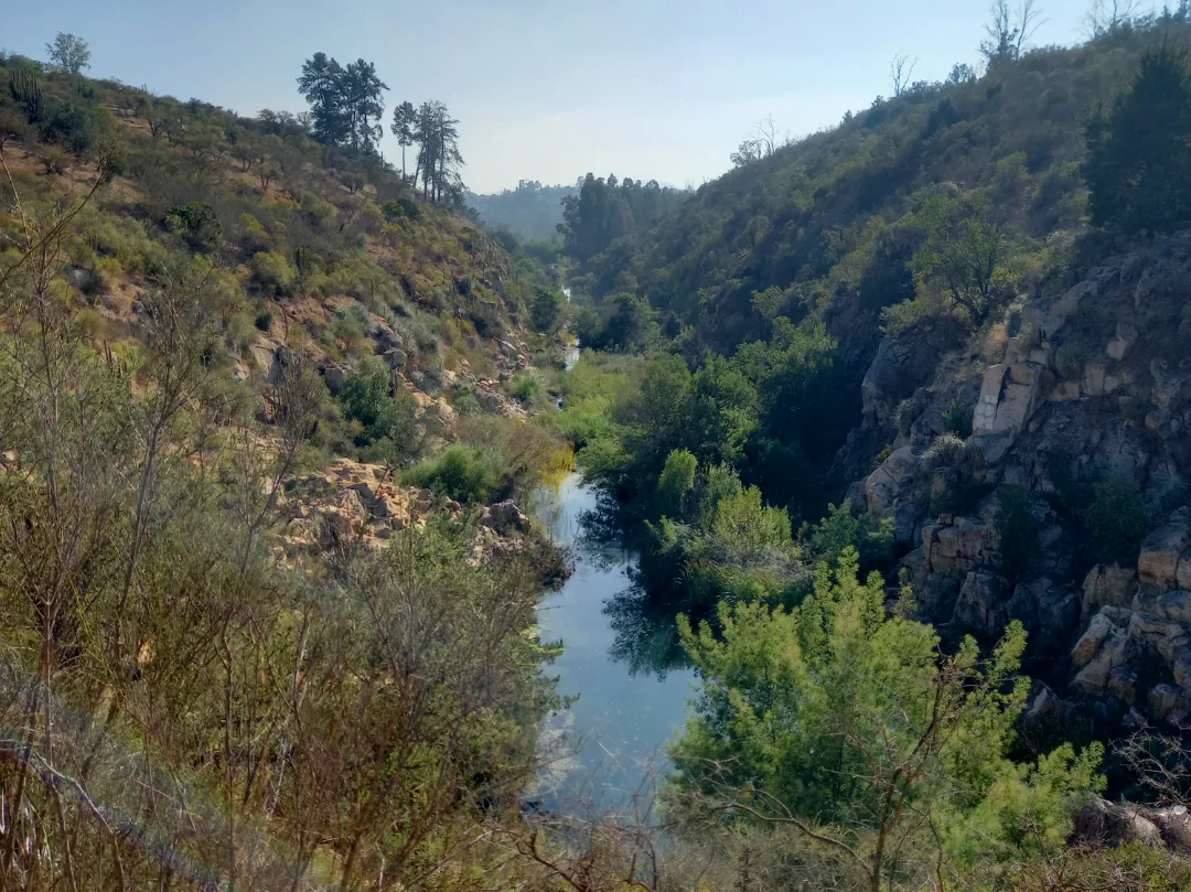 Salida a Parque Cerro Los Pinos