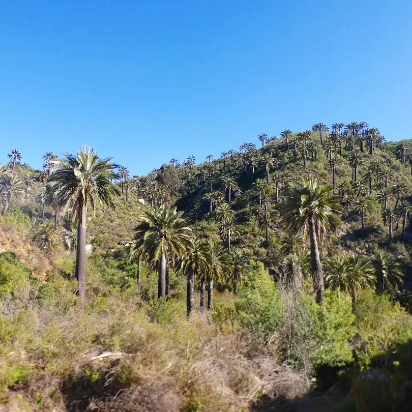 Salida a Palmar el Salto y Quebrada El Quiteño