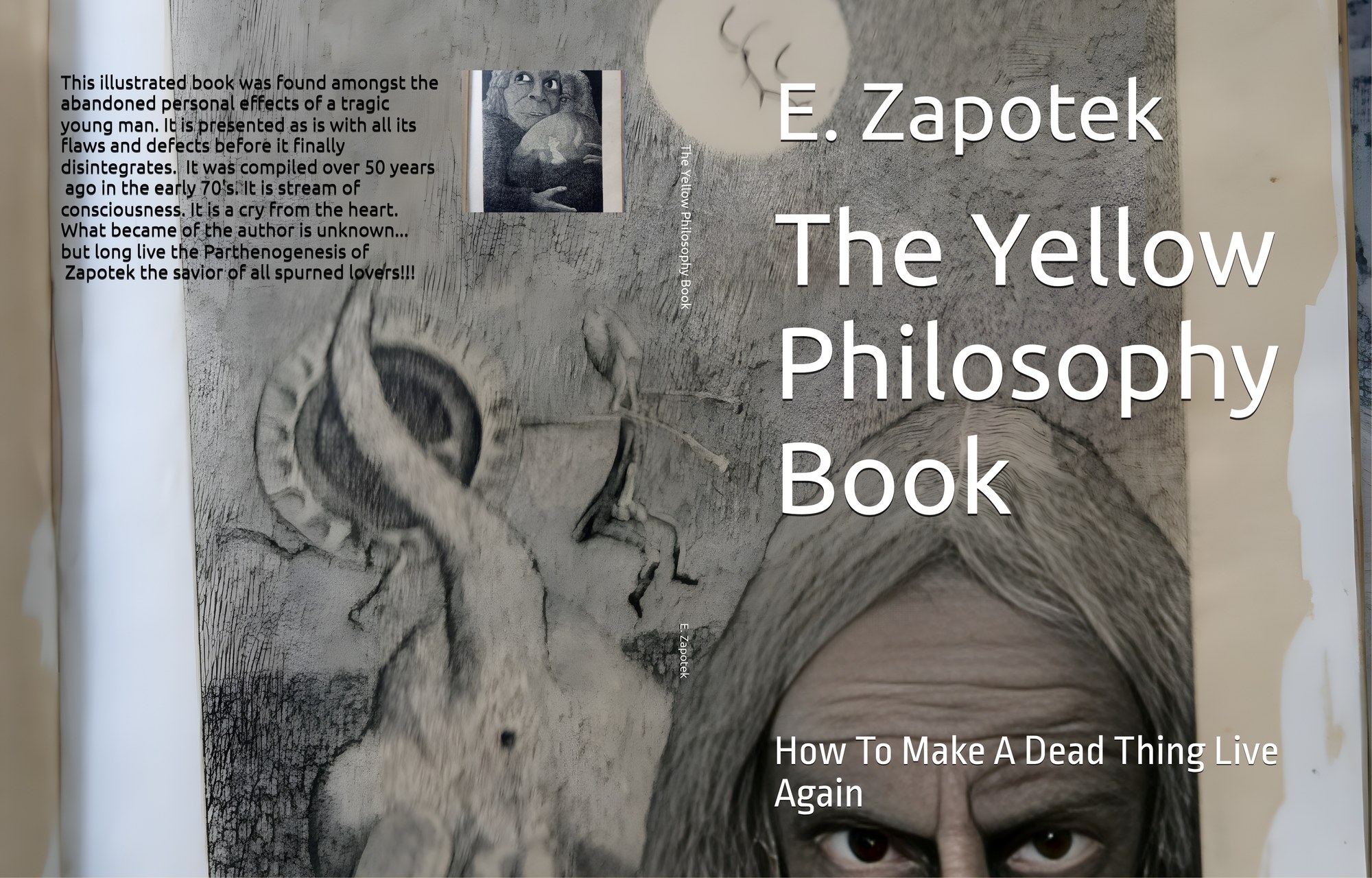 The Yellow Philosophy Book cover