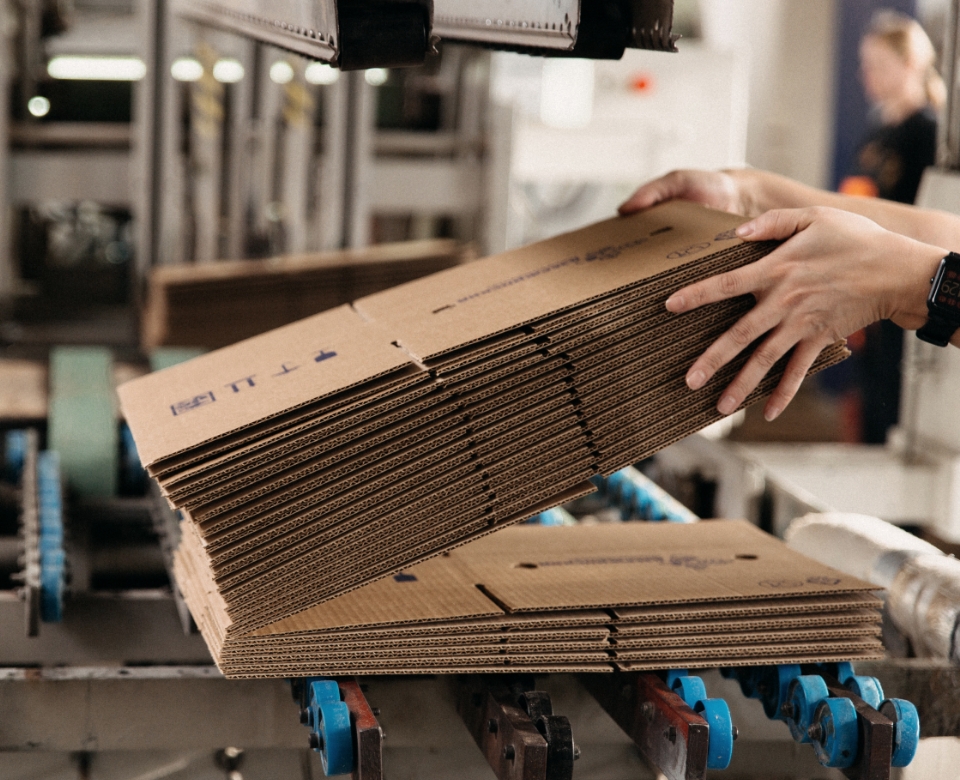 Kartonzuschnitte in der Produktion