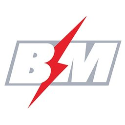 BM Logo
