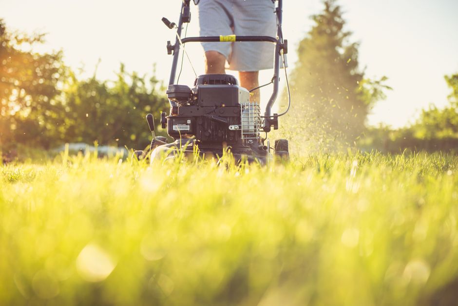 Garden Maintenance