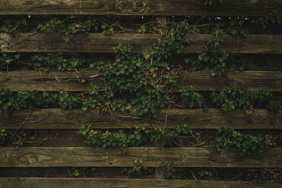 Fence & Gate Repairs