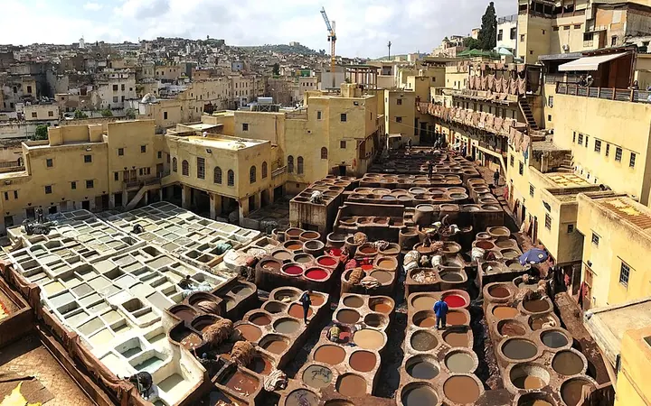 Tannerie Chouara à Fès