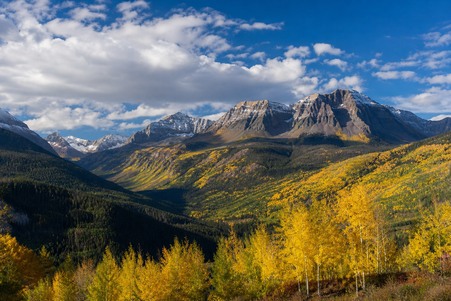 Golden aspens beneath the San Juan Mountains near Telluride