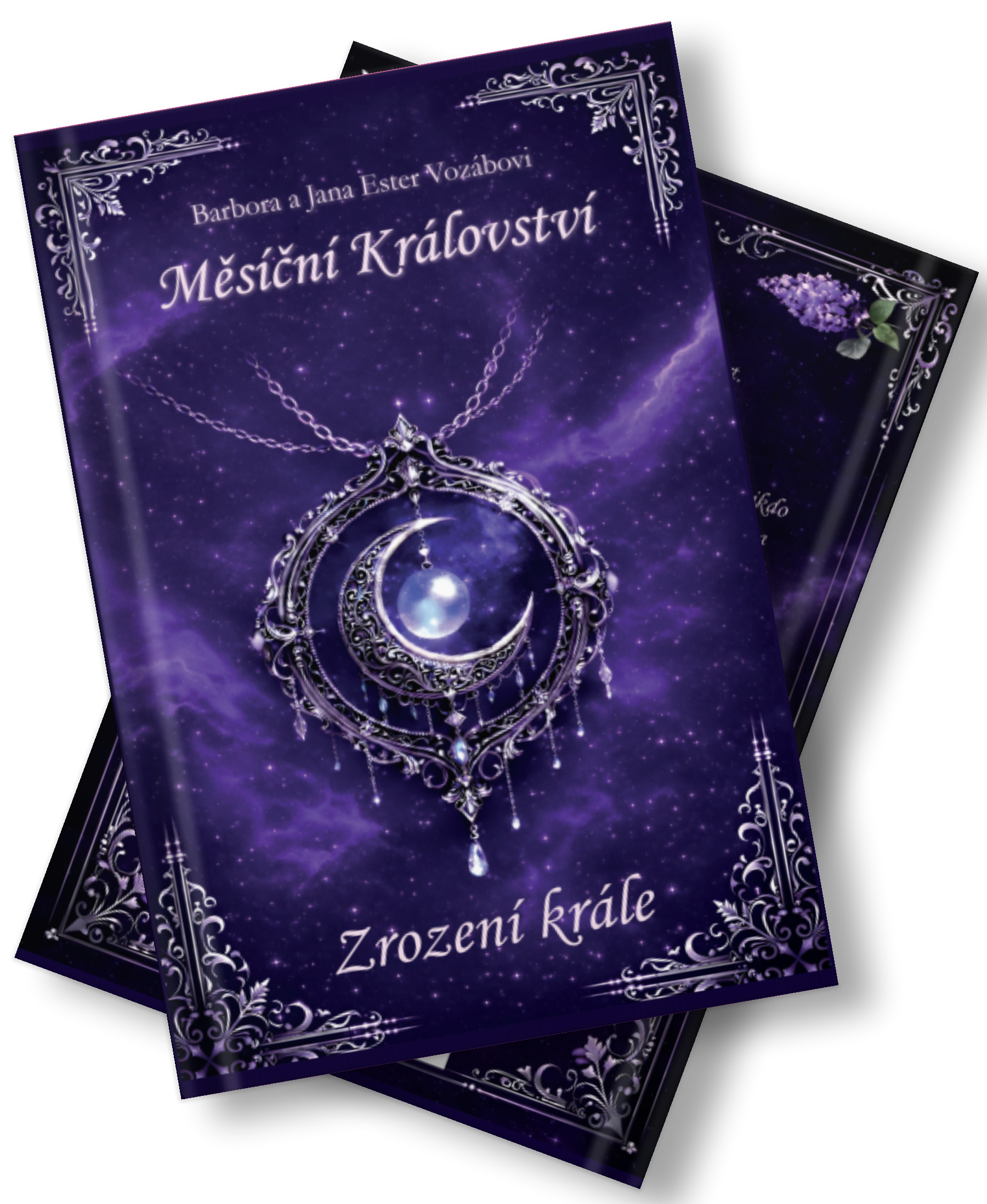 Nad Měsíčním královstvím: Zrození krále